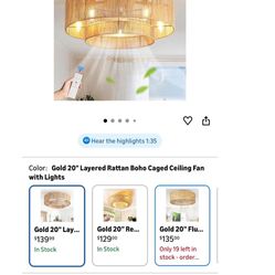 Gold 20" Layered Rattan Boho Caged Ceiling Fan with Lights