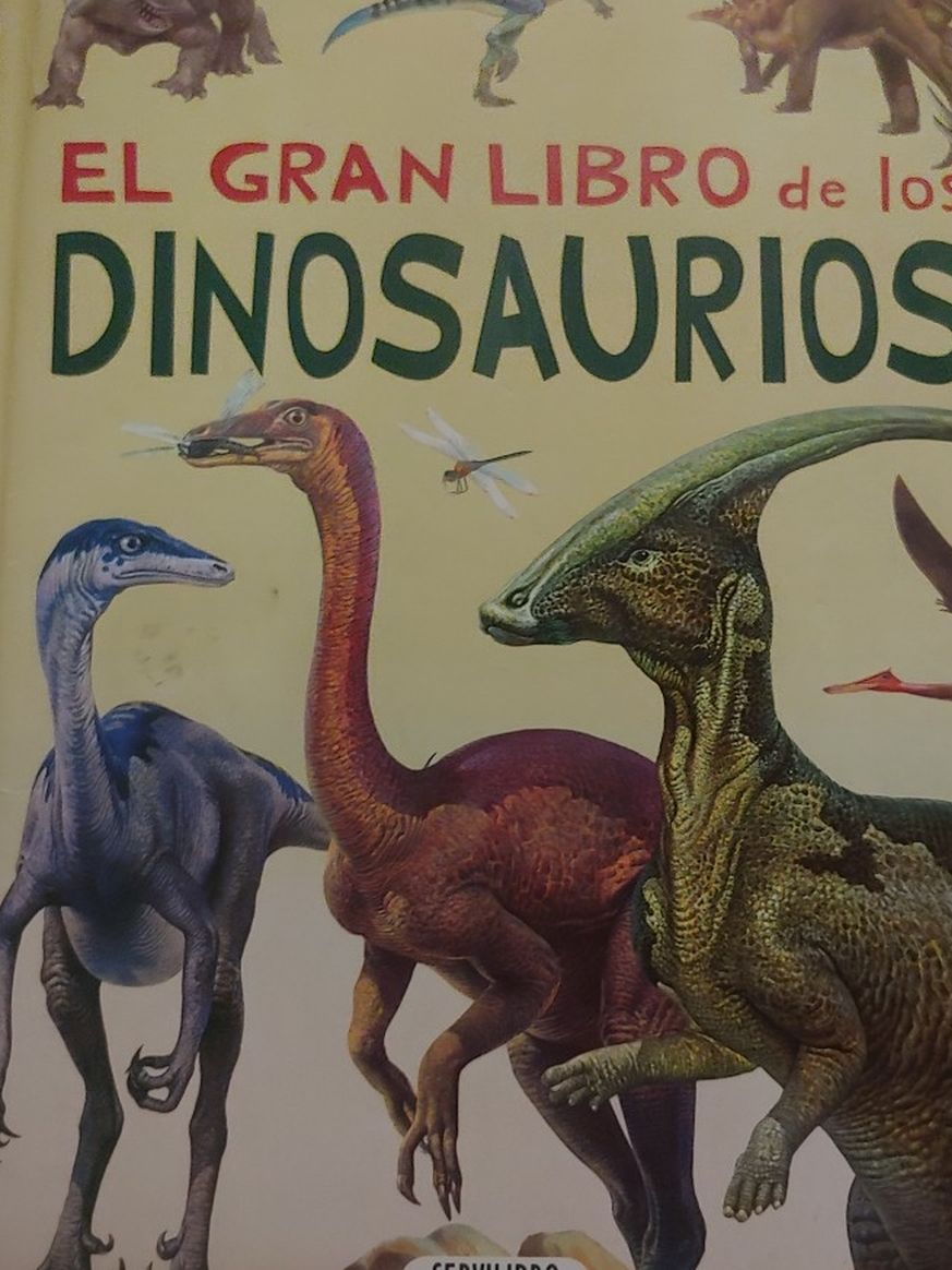 Children's Books In Spanish/Libros En español