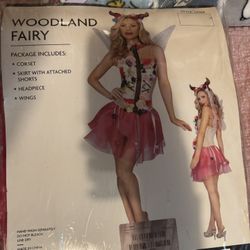 Fairy Costume