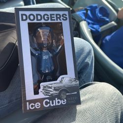 Ice Cube Bobble Head 