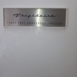 Frigidaire Freezer