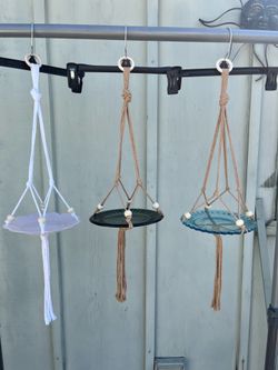 Beautiful Bird Seed Feeders