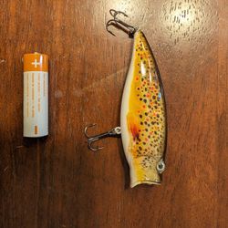 Fishing Lure Popper