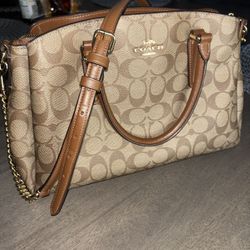 Sage carryall COACH purse