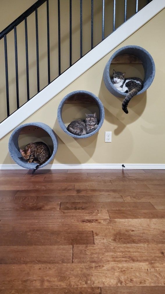 Cat Nap Beds