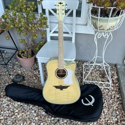 Electric Acoustic Guitar 🎸 