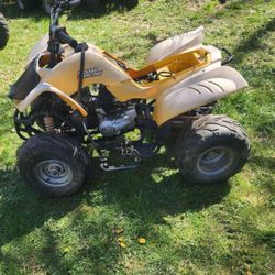 Kuzuma Falcon 110 