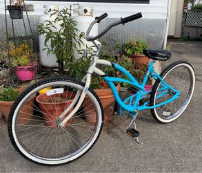 Dyno Cruiser Bike