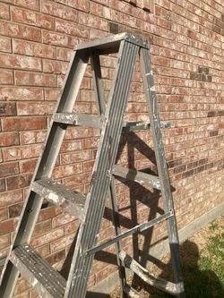Ladder 6ft