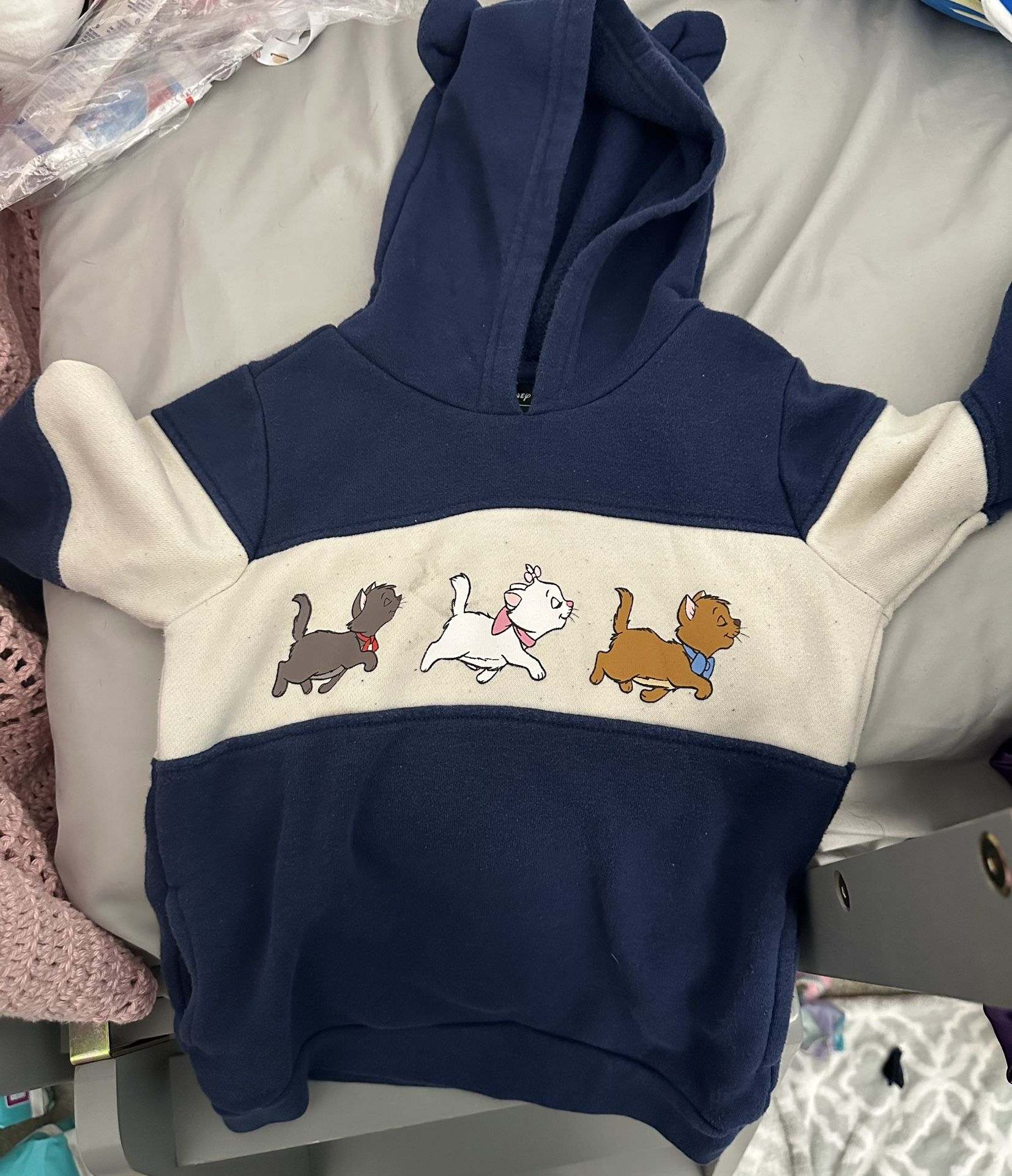 4T Disney Hoodie