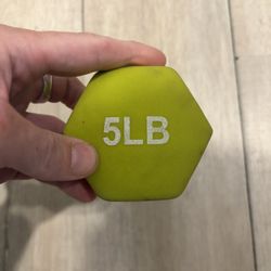 5 lb Neoprene Dumbbell. Green Hex Hand Weight