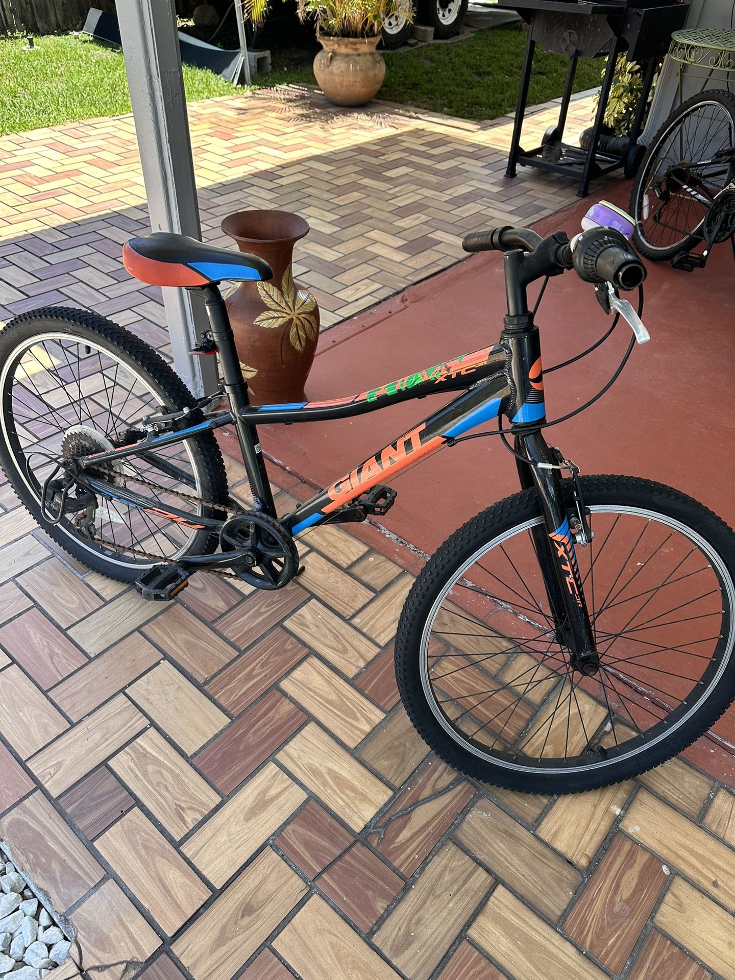 24 “ Giant Aluminum Bicycle 