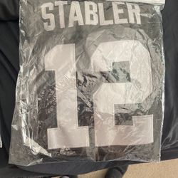 Raider Jersey L