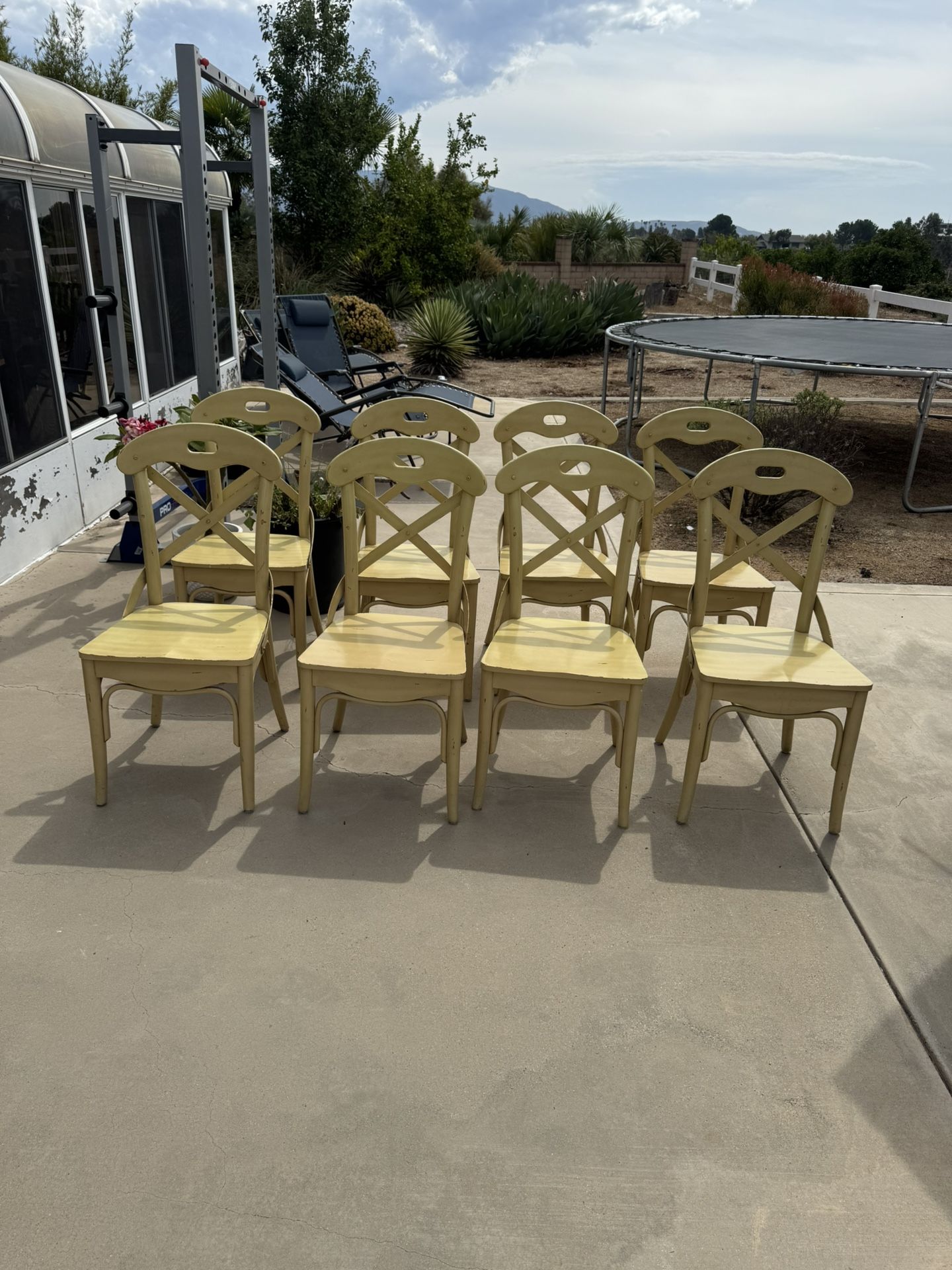 Dining Chairs