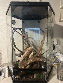 Vertical Hexagon Tropical Reptile Terrarium