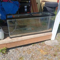Fish tank
