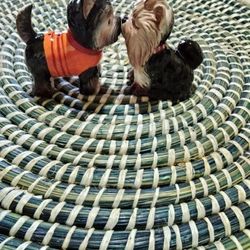 Salt And Pepper Shakers