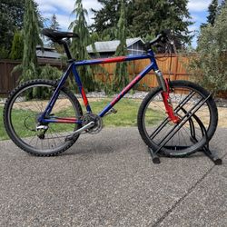 Vintage 2000 Gary Fisher Big Sur Mountain Bike - XL Frame (All Original)