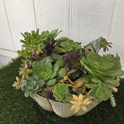 Succulents Arrangements. Stand Not Included. Thank you for your interest
