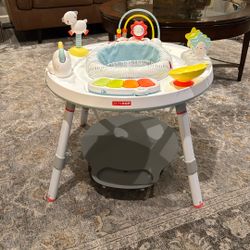 Skip Hop Activity Center