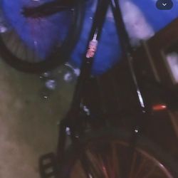 Come Buy 29 Inc Throne