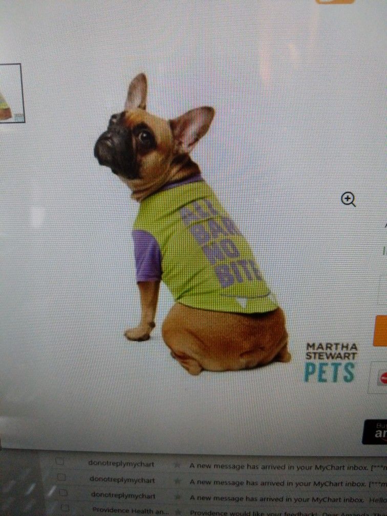 Martha Stewart Pet Collection Halloween Shirt Costume "All Bark No Bite" - S - Brand New