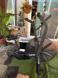 Rogue Echo Assault Bike