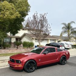 2009 Ford Mustang