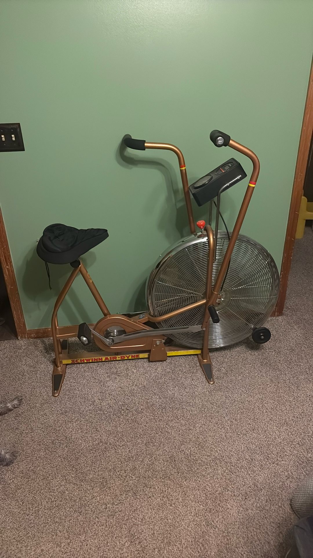 Shwinn Air-dyne
