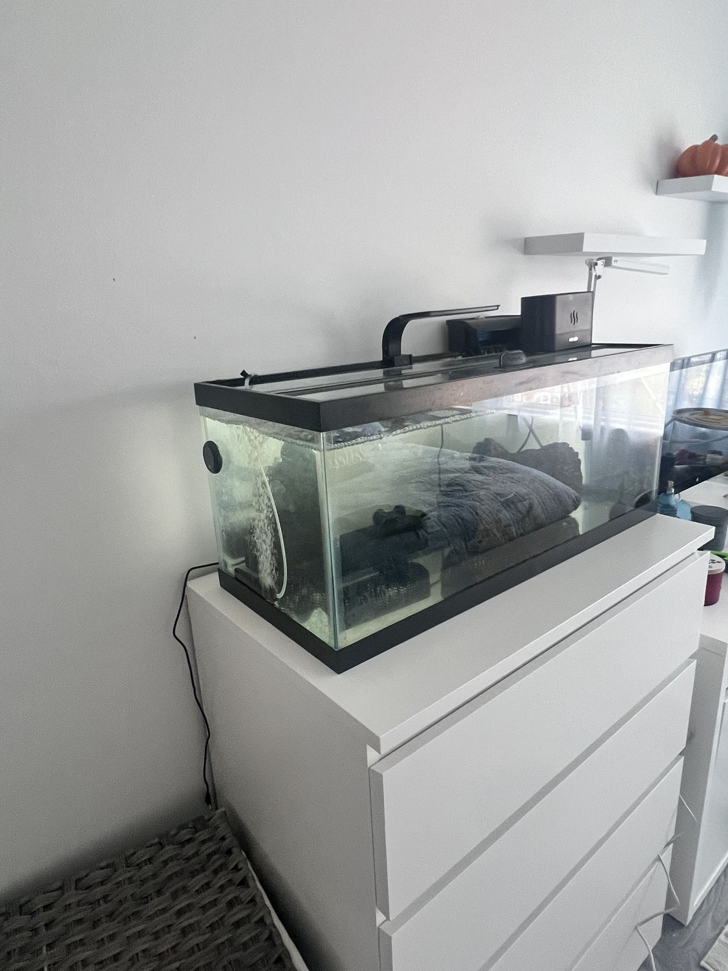 Fish Tank
