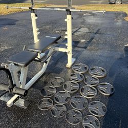 Bench Press With Weights And Barbell 