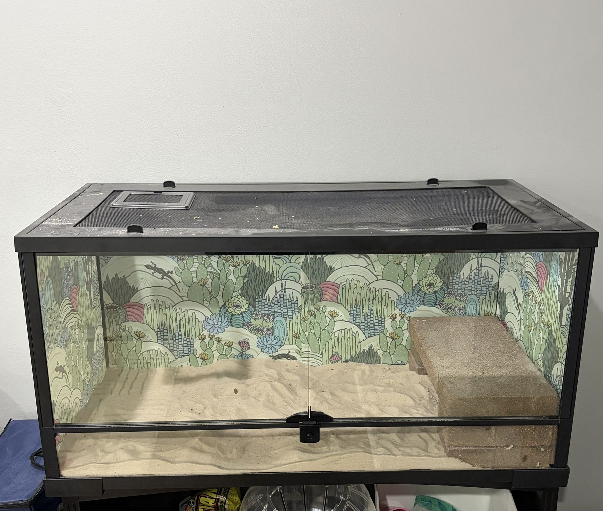 Terrarium 40 Gallon
