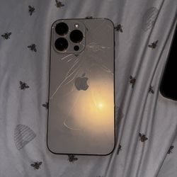 Pregunta Sin Compromiso