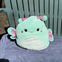 Squishmallow 