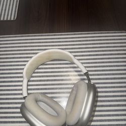 Apple Ear Phones 