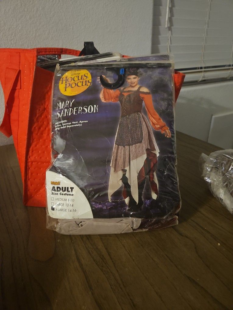 Halloween Costume: Hocus Pocus Mary Sanderson