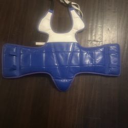 Used Karate Gear/Sparring Gear For Karate For Toddler’s 