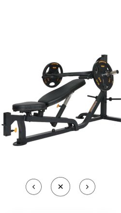 Powertec Olympic Bench Press with Weight Plates