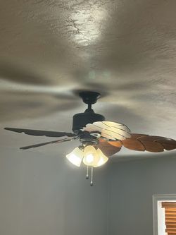 Nice fan