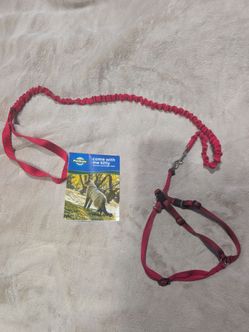 Come With Me Kitty cat harness and leash (red)