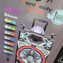 New Bluetooth Speaker 12"