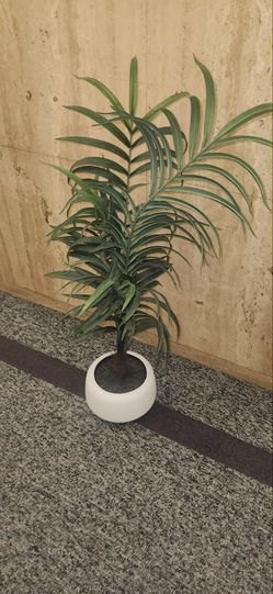 artificial palm plant in a white pot, l