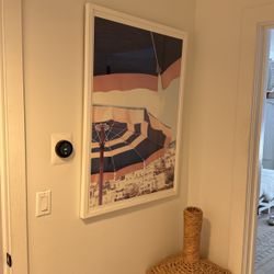 Large,  Stylish Framed Print