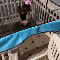 Dog Play Pen With Cover $50