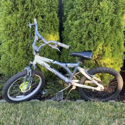 Boys Bike 20”