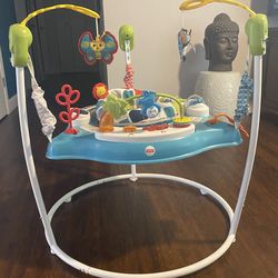 Fisher price baby bouncer