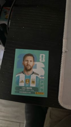 Soccer panini