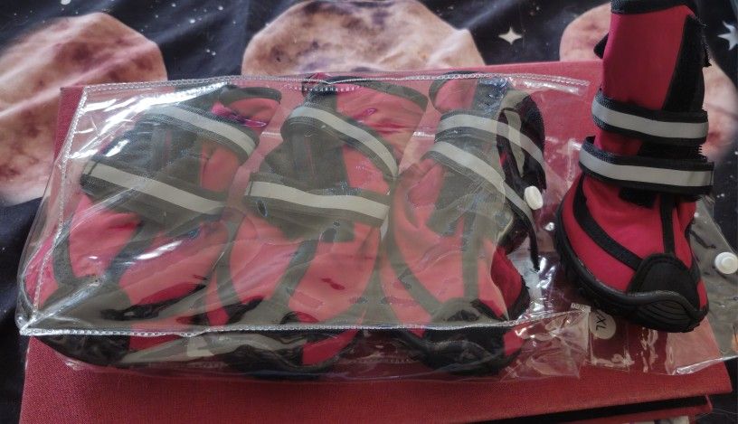 Pet Shoes XL