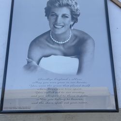 Princess Diana Framed Print