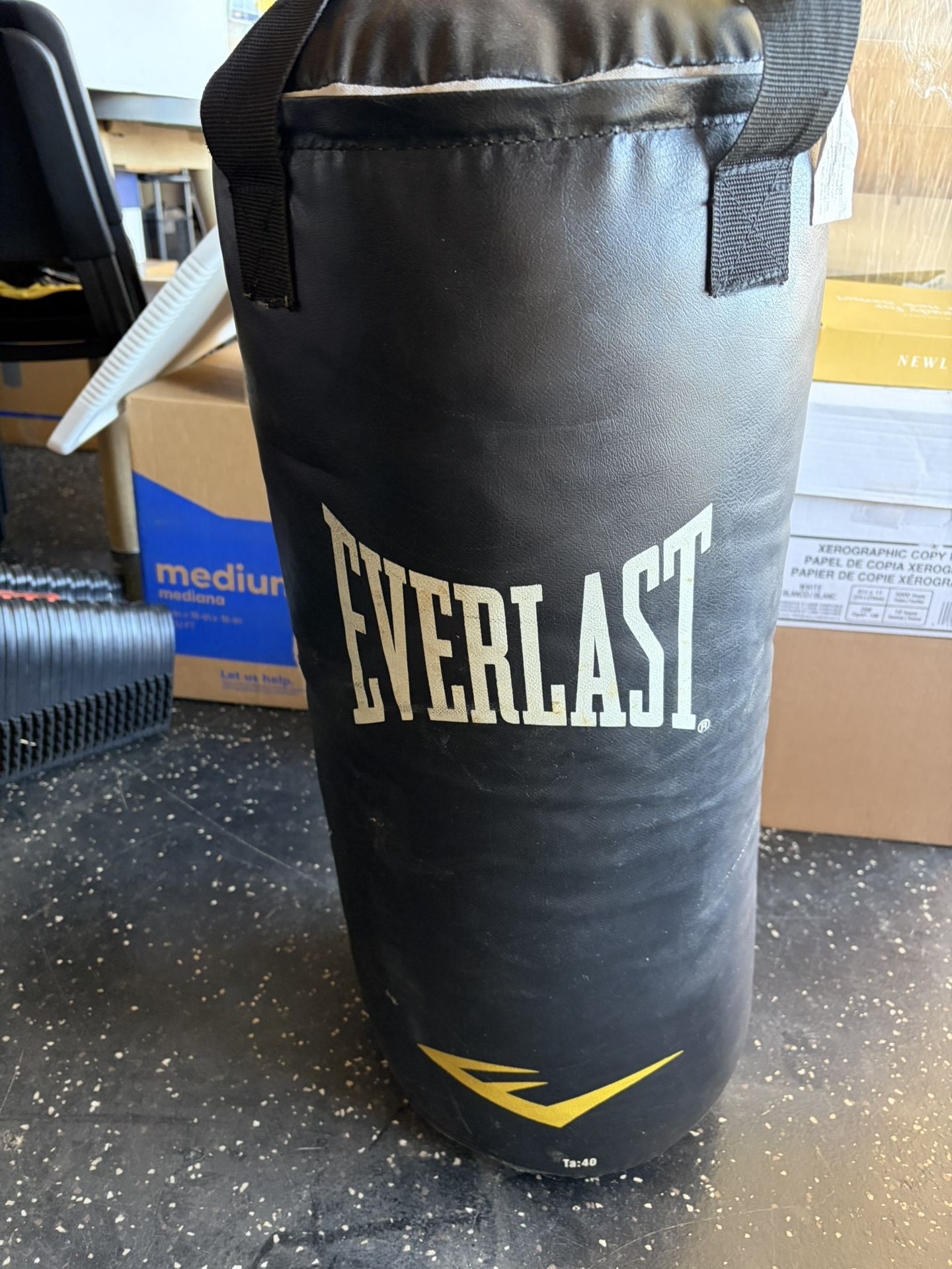 Everlast Hanging Punching Bag